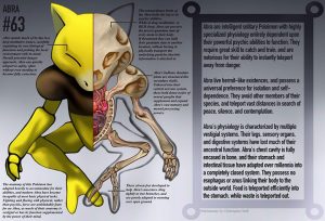 A Detailed Illustration Of Pokémon Anatomy