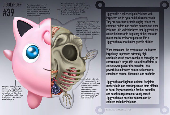 pokemon-go-jigglypuff-anatomy-39