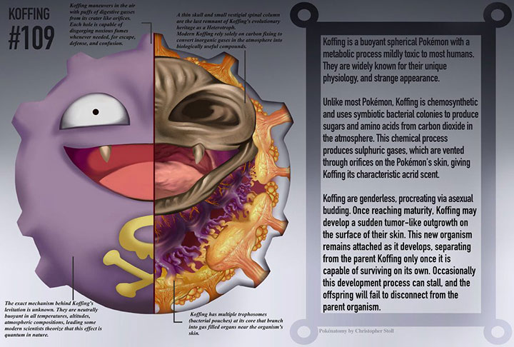 pokemon-go-koffing-anatomy-109